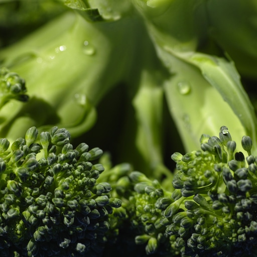 Read more about the article Witaj na naszej stronie!