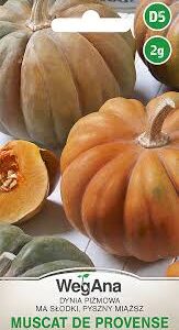 Dynia piżmowa Muscat De Provense