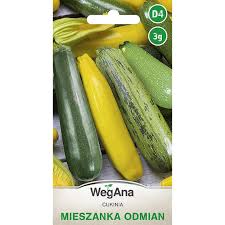 Cukinia mieszanka odmian