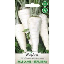 Pietruszka Korzeniowa Halblange-Berlińska