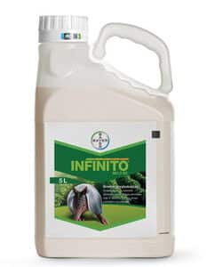 Infinito 687,5 SC 5L środek grzybobójczy