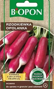 Rzodkiewka Opolanka