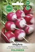 Rzodkiewka Poloneza