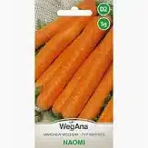 Marchew wczesna Naomi
