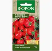 Pomidor typ cherry