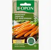Marchew jadalna typ amsterdam