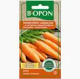 Marchew jadalna z wysoką zawartością witamin i karotenu