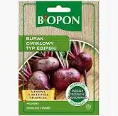 Burak ćwikłowy typ egipski